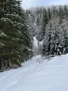 Winter (1)