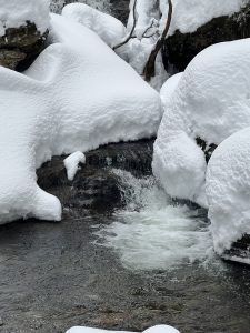 Winter (10)