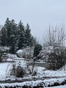 Winter (2)