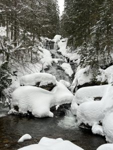 Winter (3)