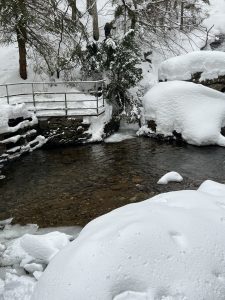Winter (4)