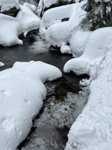 Winter (5)
