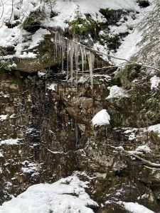 Winter (6)