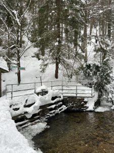 Winter (8)