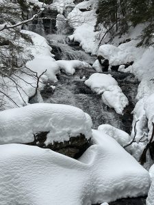 Winter (9)